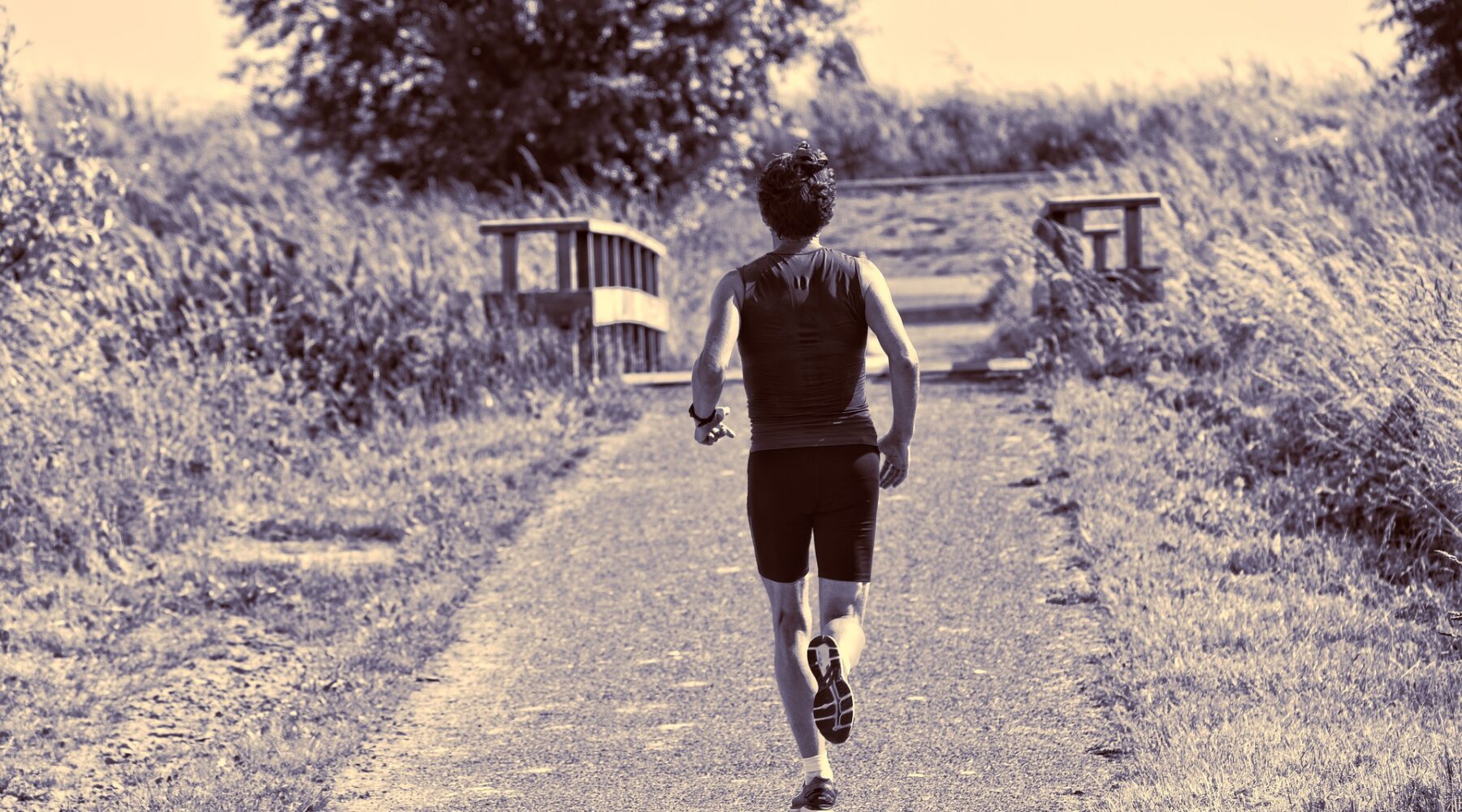 O que significa Correr? Vida de Maratonista