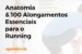 Anatomia & 100 Alongamentos Essenciais para o Running - Livro